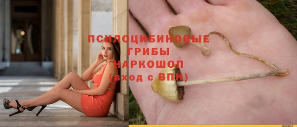 МДМА Белокуриха