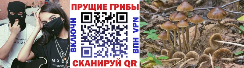 Галлюциногенные грибы GOLDEN TEACHER  Дигора 